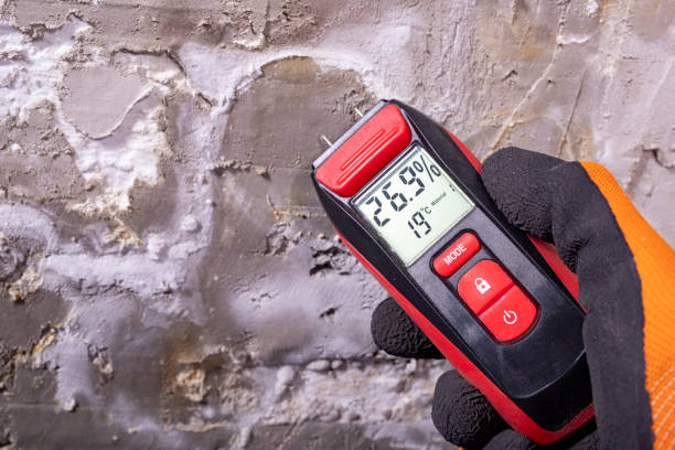 Best Mold Removal Near Me  in North Fork, CA
