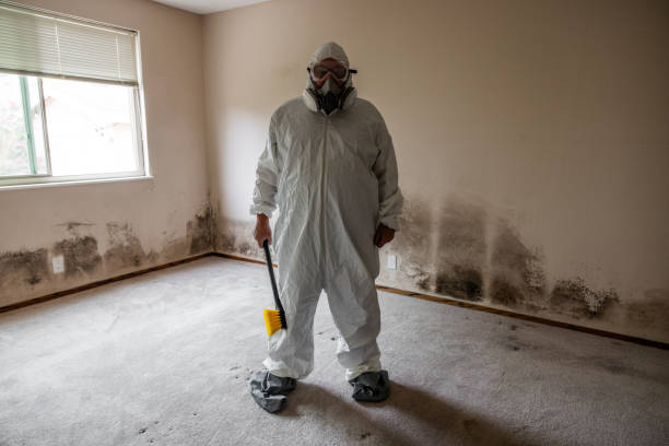 Best Mold Testing  in North Fork, CA